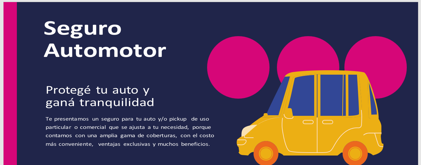 Seguro Automotor