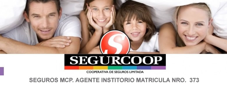 Banner Seguros